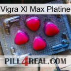 Vigra Xl Max Platinum 13